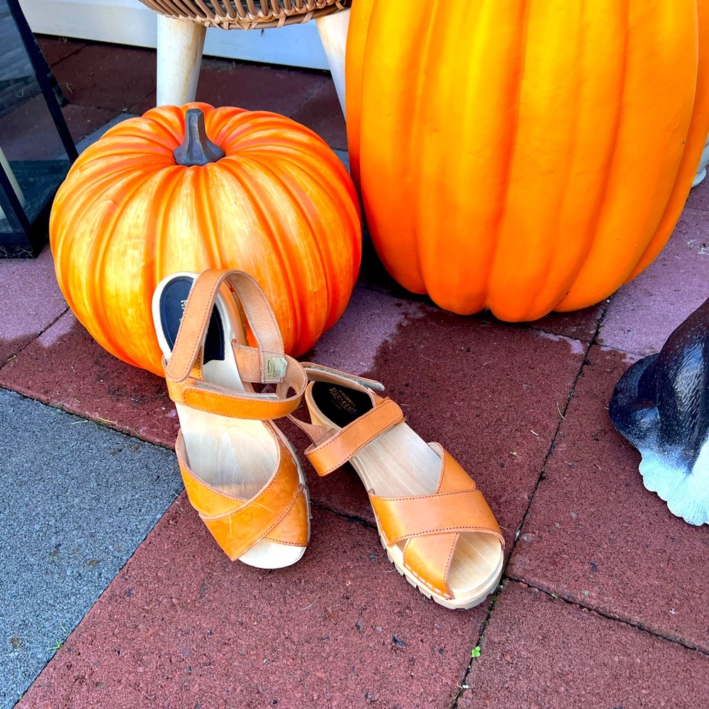 Cute Swedish Hasbeen sandals